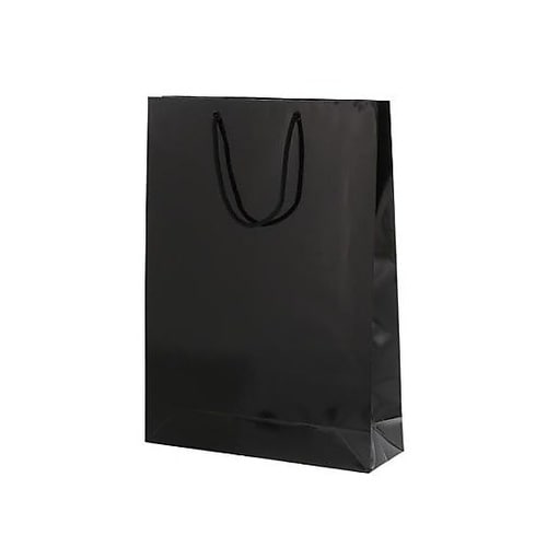 330x100x450mm 紙袋(フィル