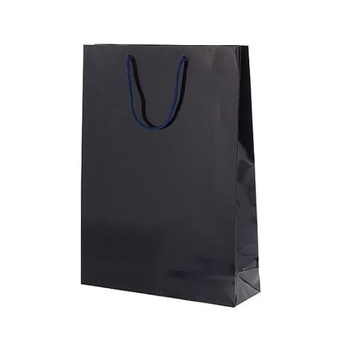 330x100x450mm 紙袋(フィル