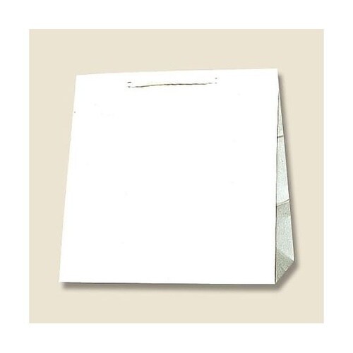 300x210x310mm 紙袋(白無地