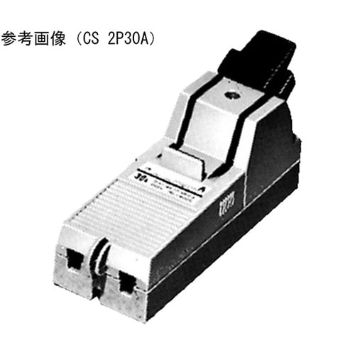 CS 2P20A カバースイッチ