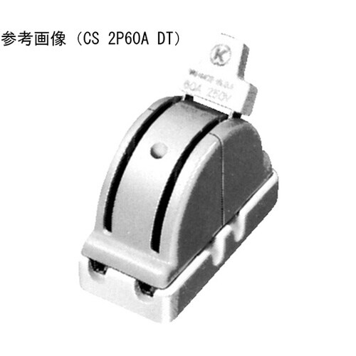 CS 2P60A DT カバースイッチ