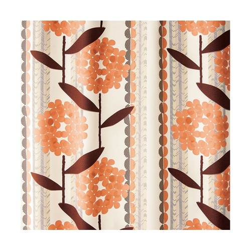 遮光カーテン ケイランサス 100×20