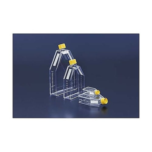 細胞培養フラスコ 25cm2 ベントキャ