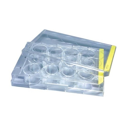 細胞培養プレート 12well 平底 1