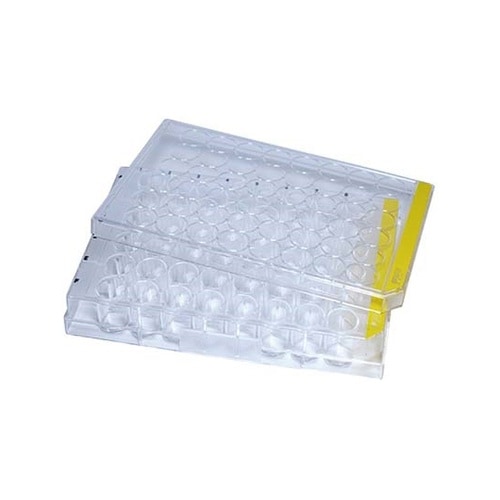 細胞培養プレート 48well 平底 1