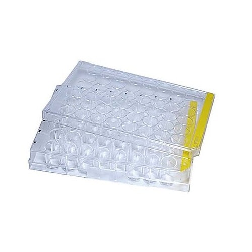 細胞培養プレート 48well 平底 少