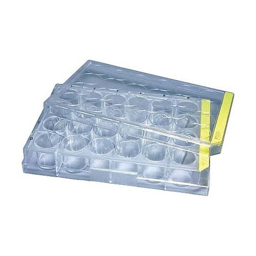 細胞培養プレート 24well 平底 1