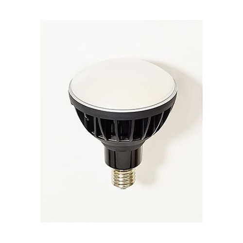 AC100V/ 50W 電球(黒) E