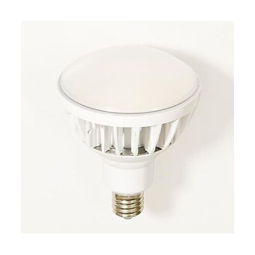 AC100V/ 50W 電球(白) E