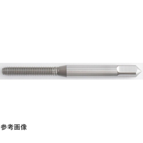 タフレット−L 1パック(10本入) T