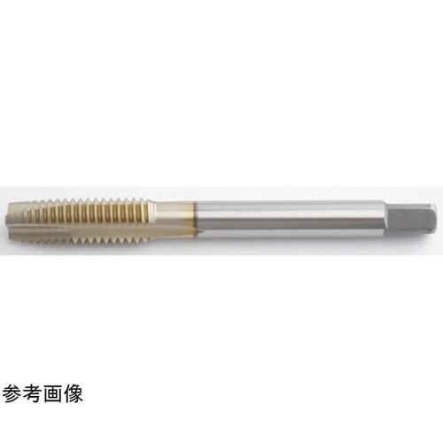 SGポイントT(OS)M12X1.75