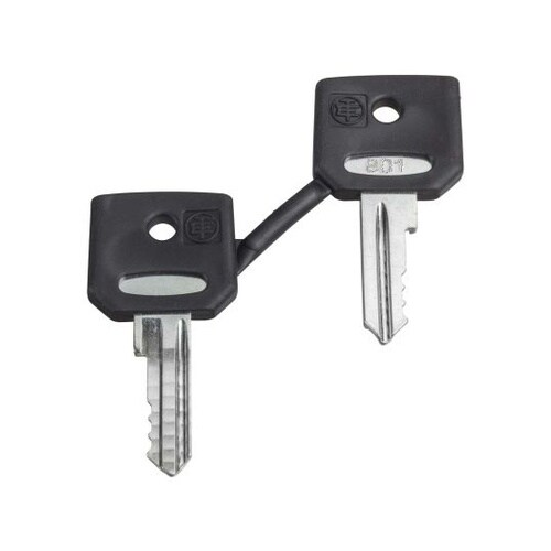 キー 1袋(2個入) ZBG520E