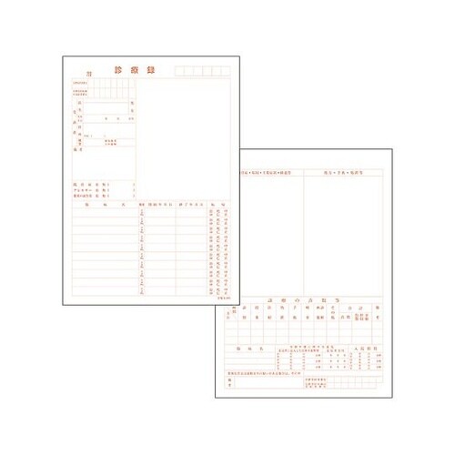 カルテ1号 A4 90kg 社保 k−0