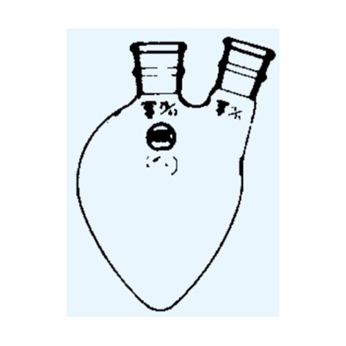 二頭ナシフラスコ 頭部15 側部10 2