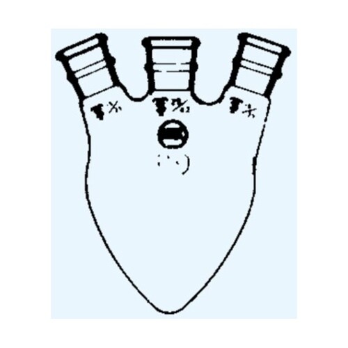 三頭ナシフラスコ 頭部15 側部15 2