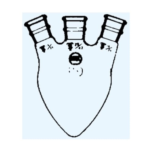 三頭ナシフラスコ 頭部19 側部15 2