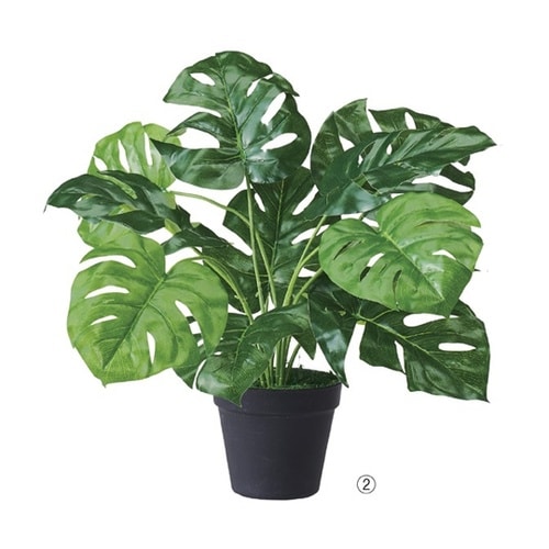 グリーンポット(フェイクグリーン)モンス