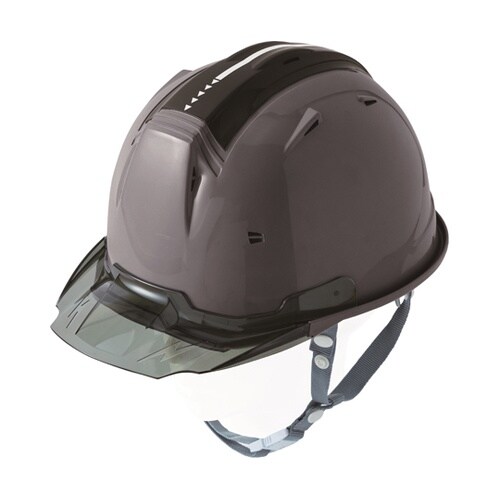 スケルトンバイザーヘルメットC2 C灰