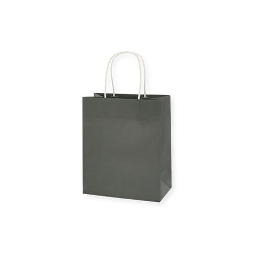 手提げ紙袋 スムースバッグ 22−12