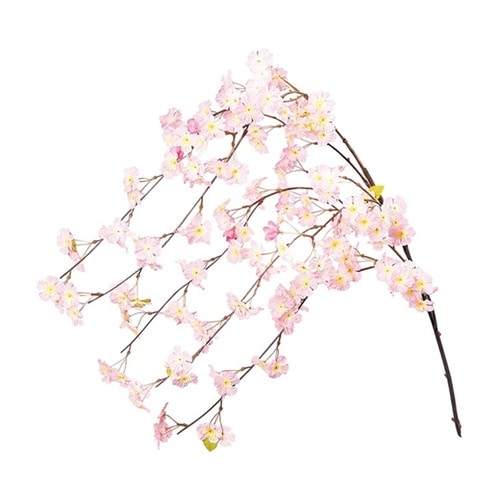 シダレ桜 135cm 3本組 23−4−