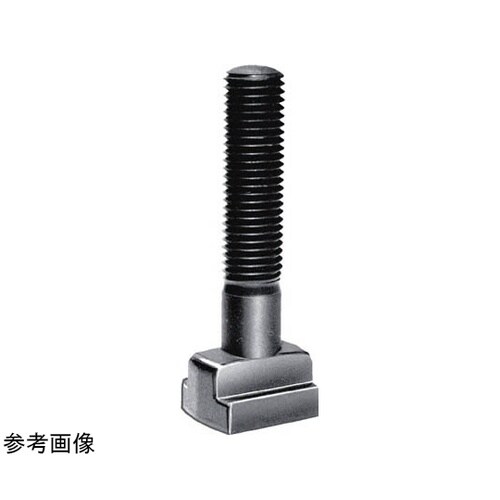 Tスロットボルト TBM24125