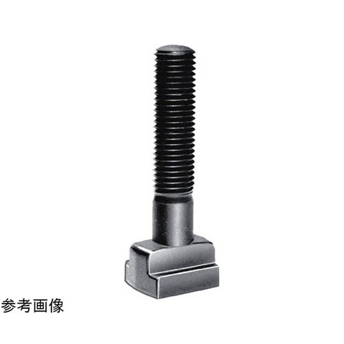 Tスロットボルト TBM22175