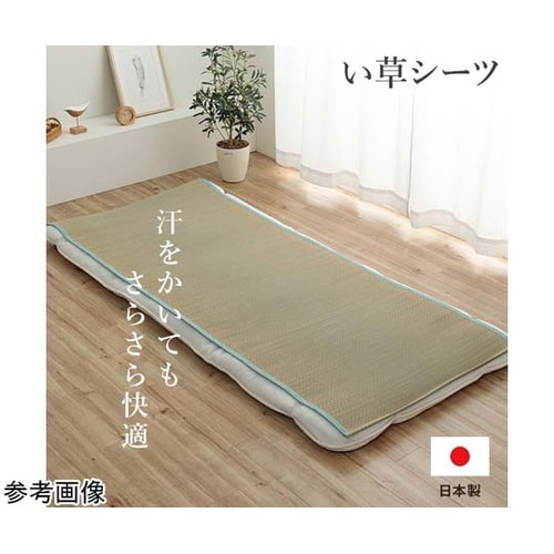 い草シーツ ブルー セミダブル 約110