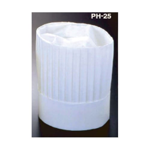 ニュータイプパリスハット(10枚入)25