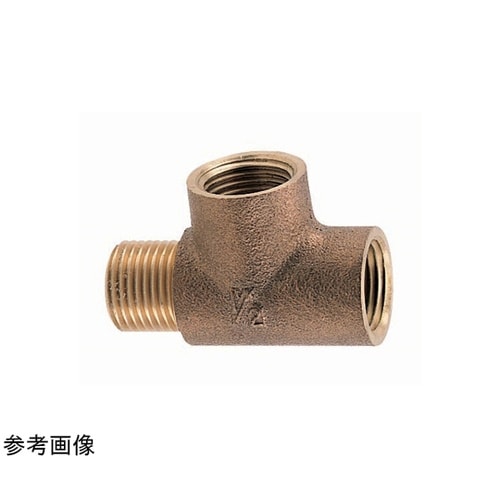 オスメスチーズ M149MNO_13