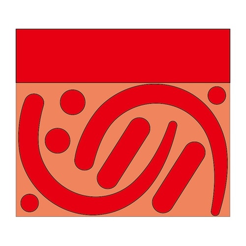 フックステッカー (蛍光赤) 335−3