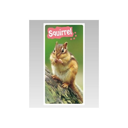 フォトジョイシール リス 915−45