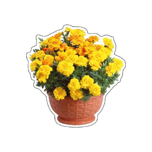 フォトジョイシール マリーゴールド 91