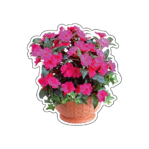 フォトジョイシール インパチェンス 91