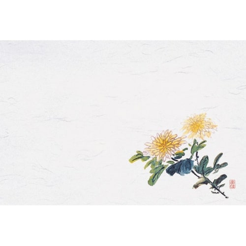 四季紙・千寿シリーズ尺3(100枚入)菊
