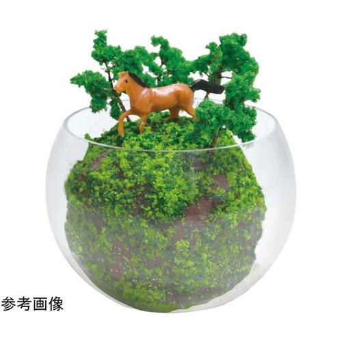 テラリウムDio 58249