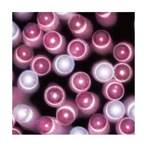 LEDストレートライト 屋外使用可 10