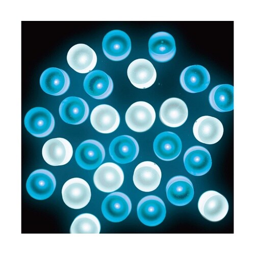 LEDストレートライト 屋外使用可 10