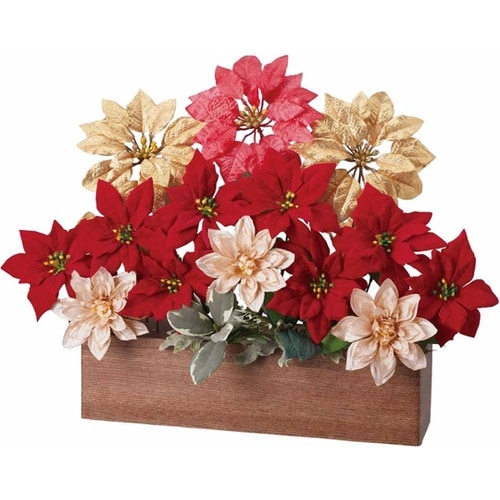 デラックスポインセチアプラン ターレッド