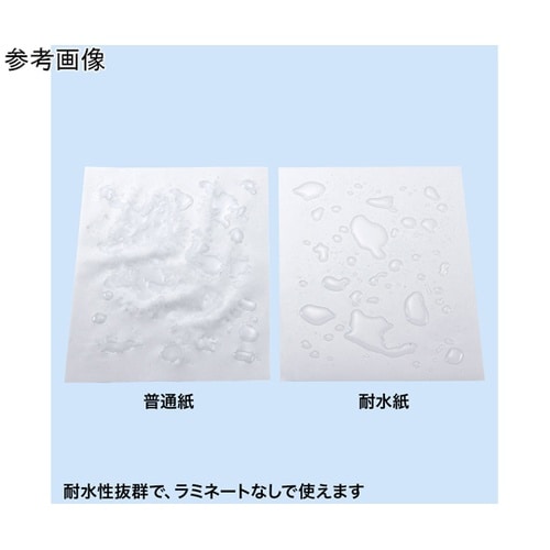 カラーレーザー用 耐水紙・標準 A3サイ