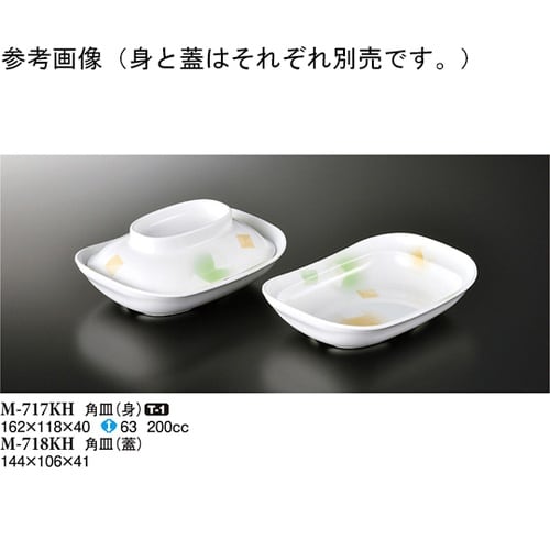 角皿(身) 風音 10個入 M−717K