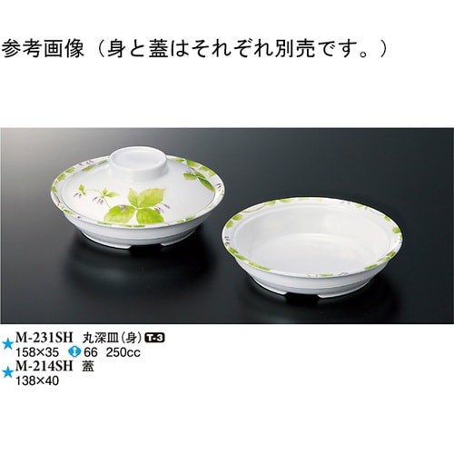 蓋 詩緒里 10個入 M−214SH