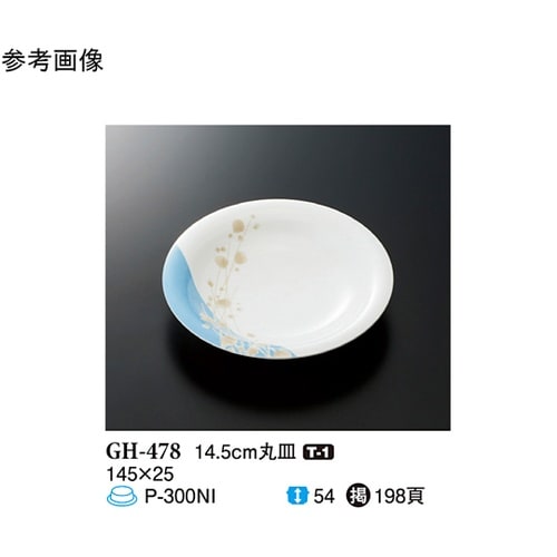 14.5cm 丸皿 シーズン1 10個入