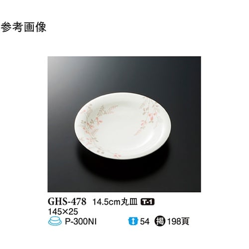 14.5cm 丸皿 シーズン2 10個入