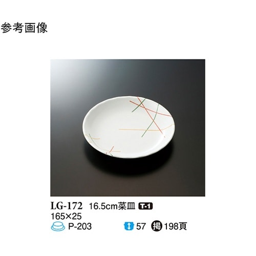 16.5cm 菜皿 マイントリオ 10個