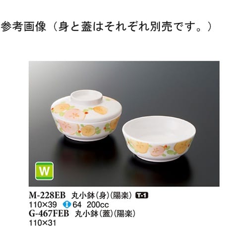 丸小鉢(身) 陽楽 10個入 M−228