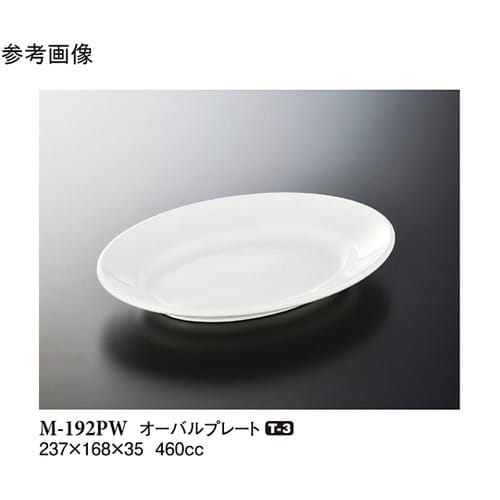 オーバルプレート(中) パルホワイト 5