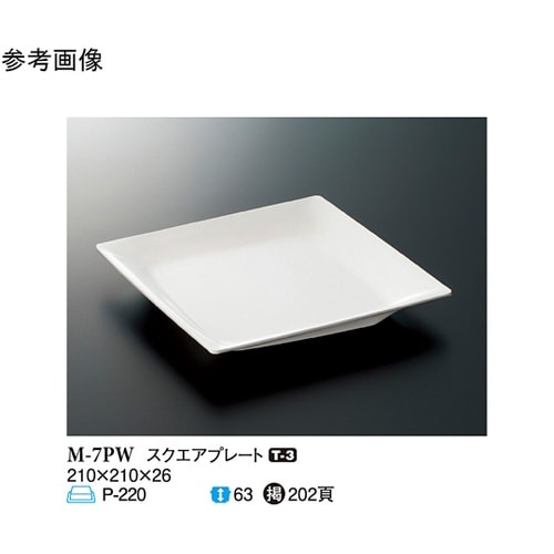スクエアプレート パルホワイト 10個入