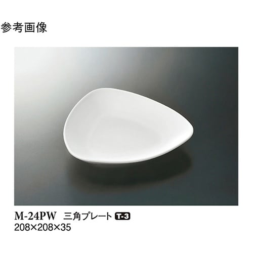 三角プレート パルホワイト 10個入 M