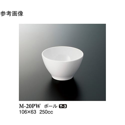 ボール パルホワイト 106×63mm