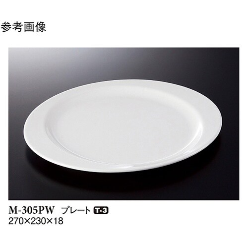 プレート パルホワイト 10個入 M−3
